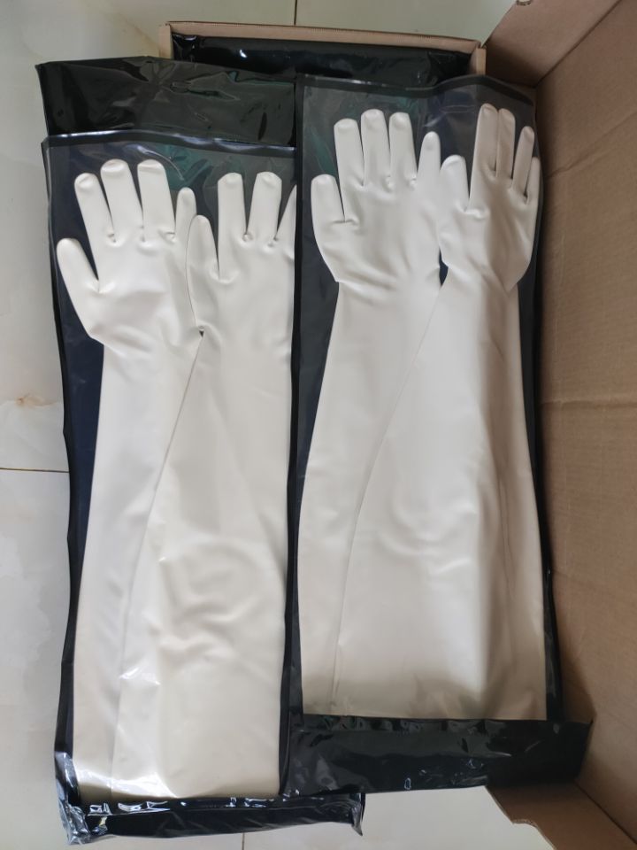 Vacuum Dry Box Test Box Gloves CSM 8Y1532A